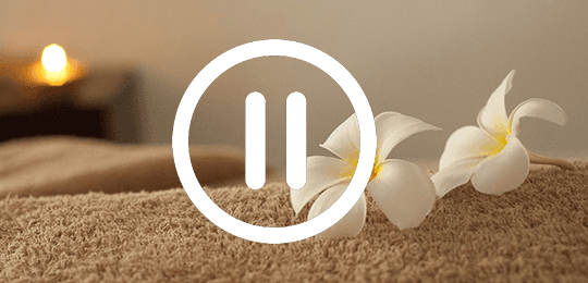 Ergonova Chronos Grey